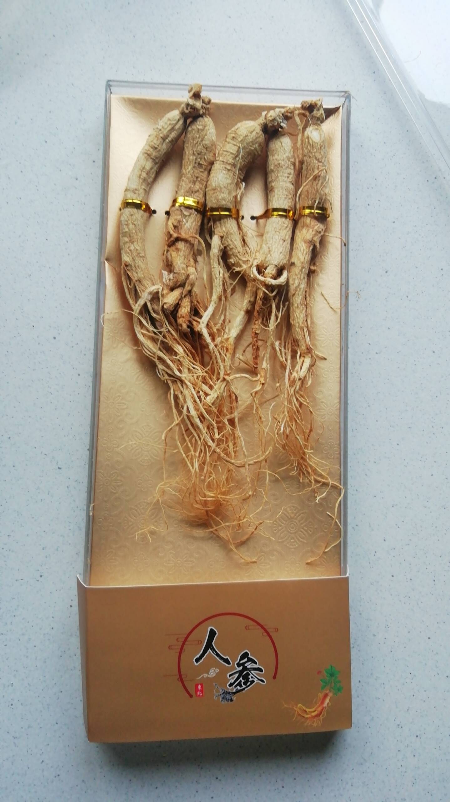 IMG-fc845cbfb87c51c6972e6243f7663016-V