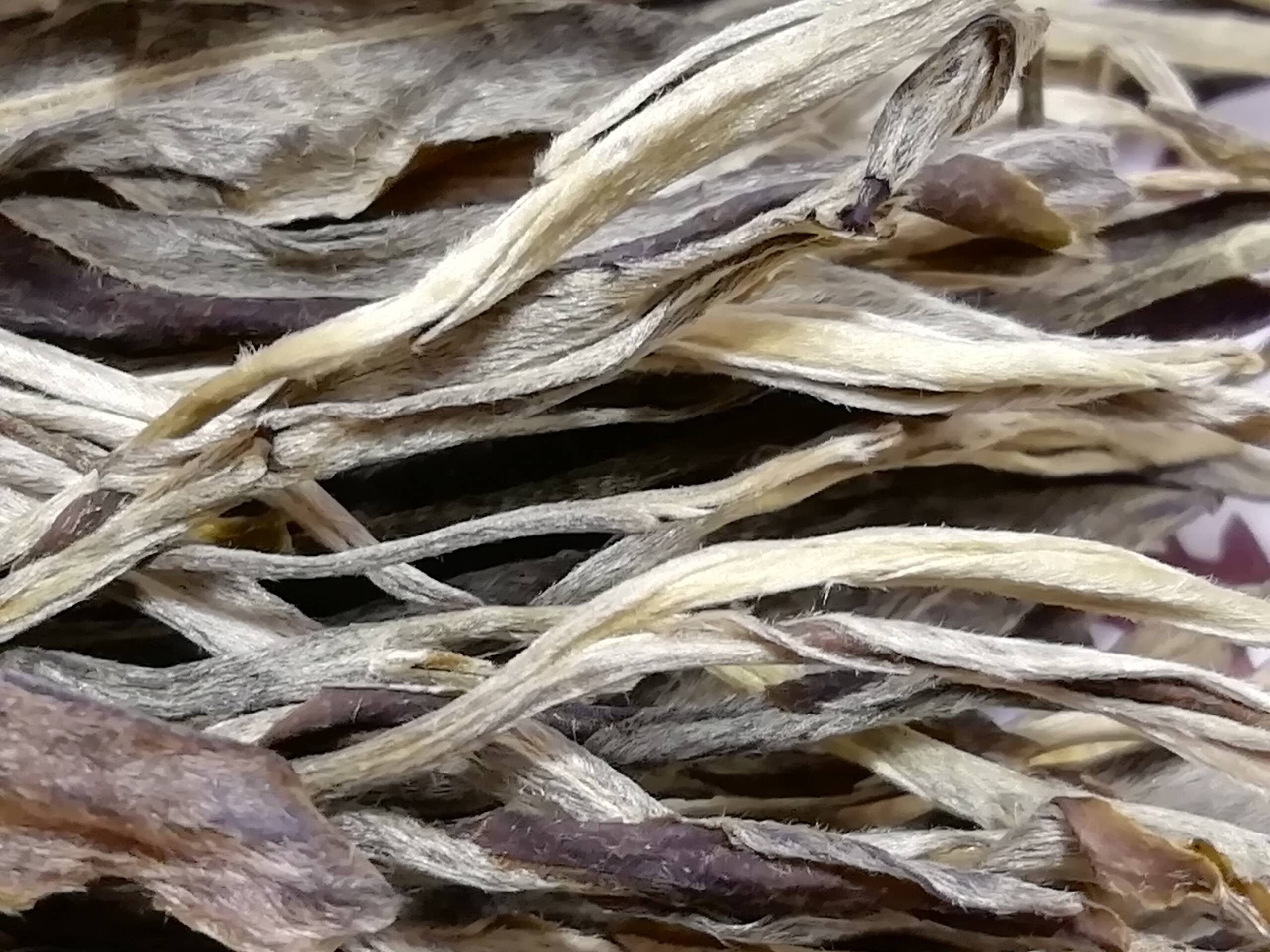 Дикий шен Йонгде