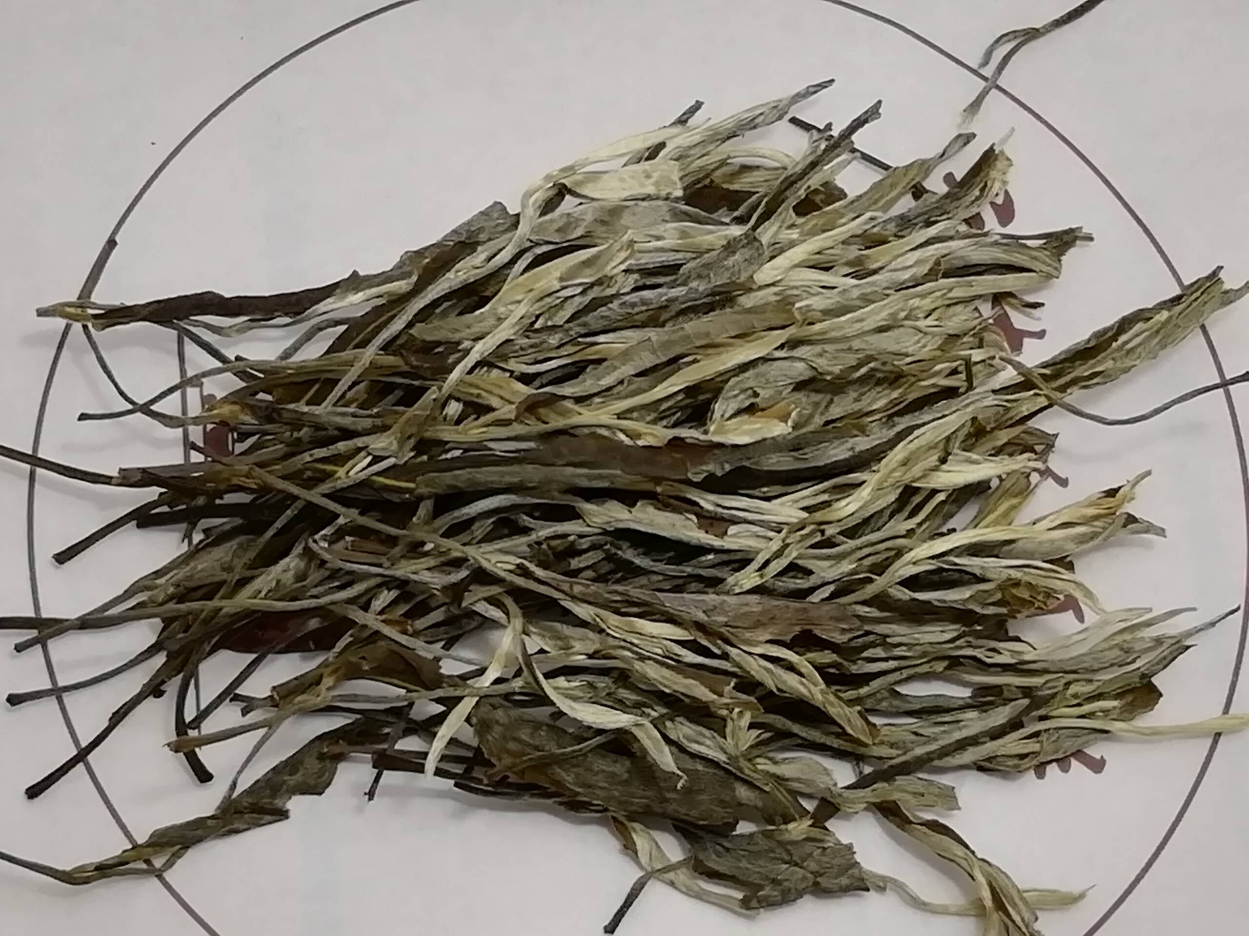 Дикий шен Йонгде