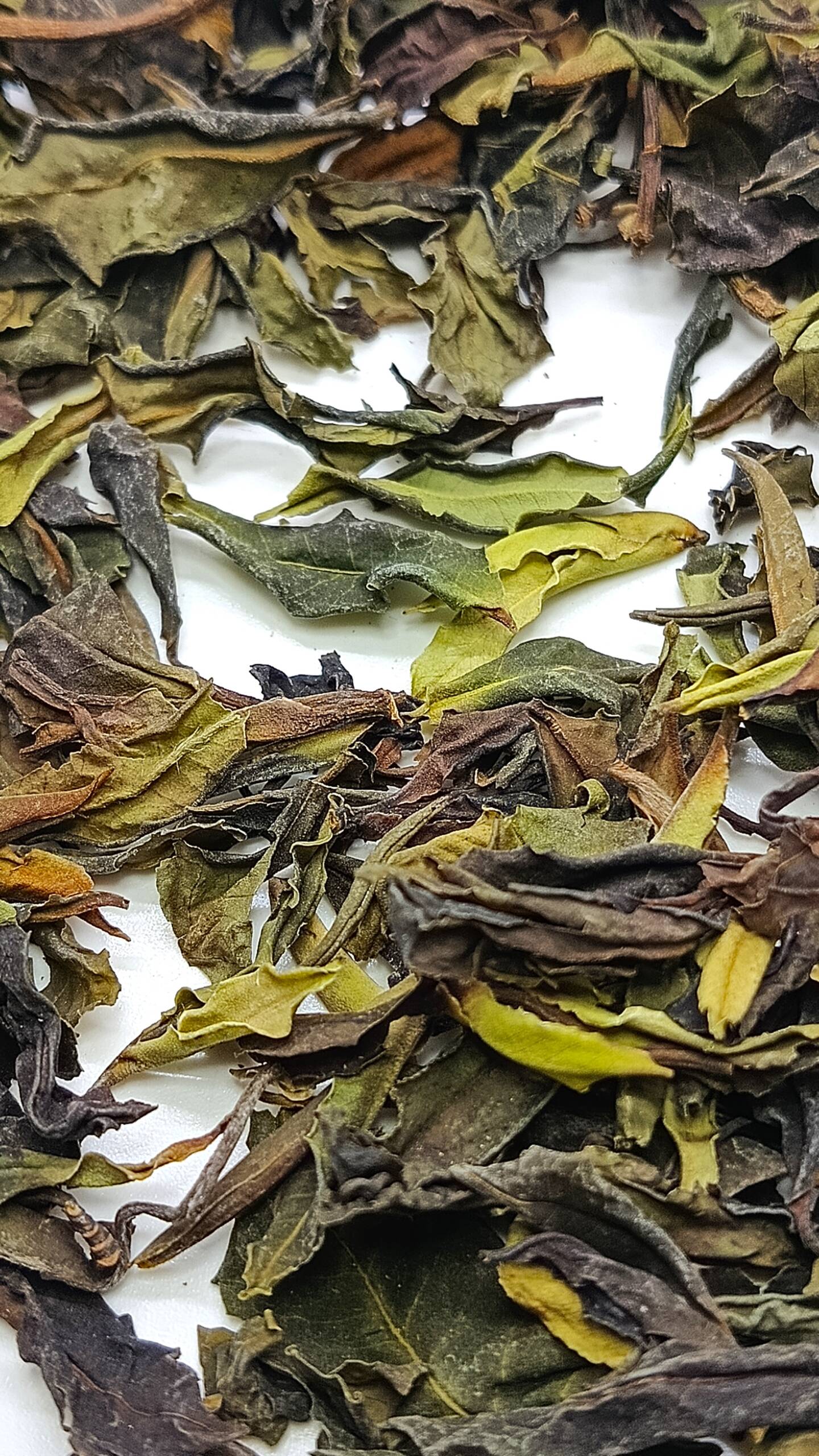 Бай Му Дань Белый пион Дикий белый 100г