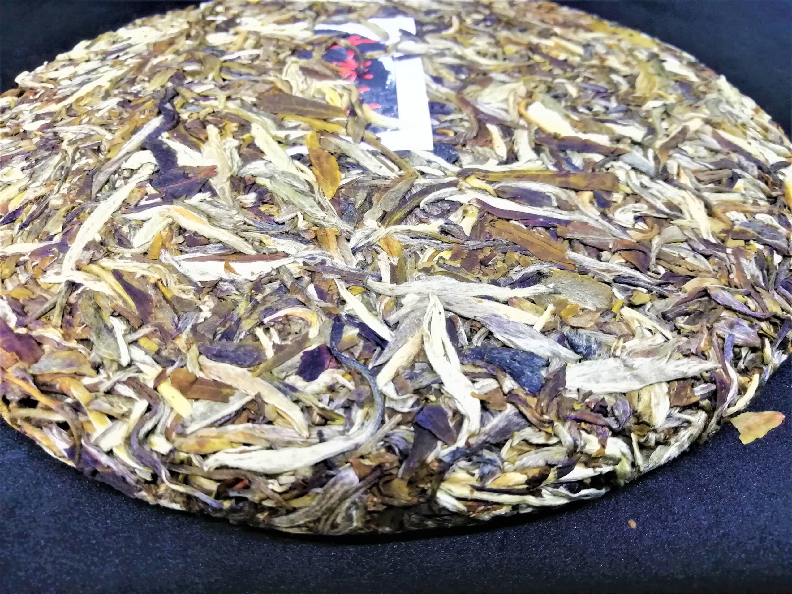 IMG_20210507_102924 (1)