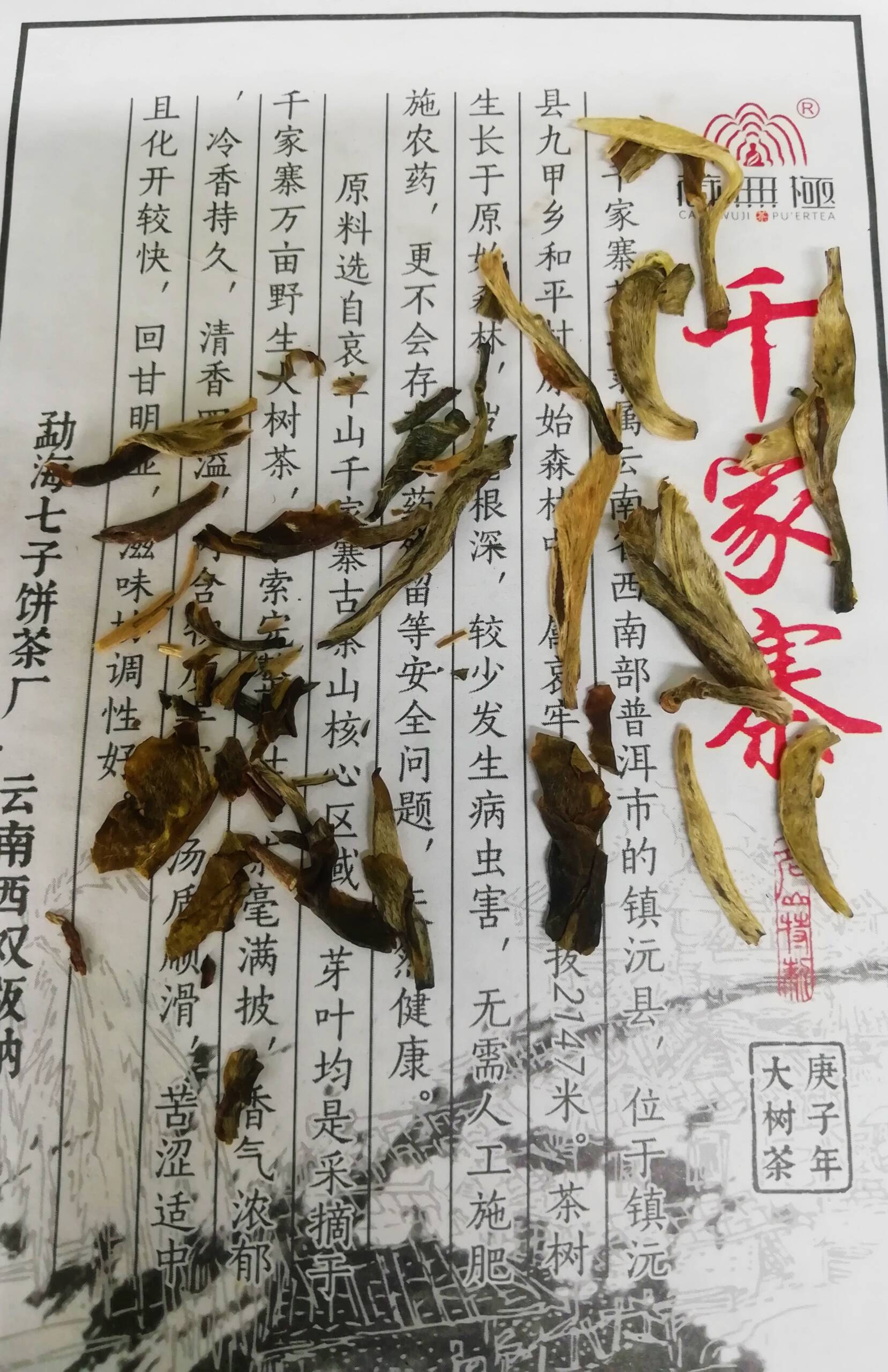 IMG_20210507_103925 (1)