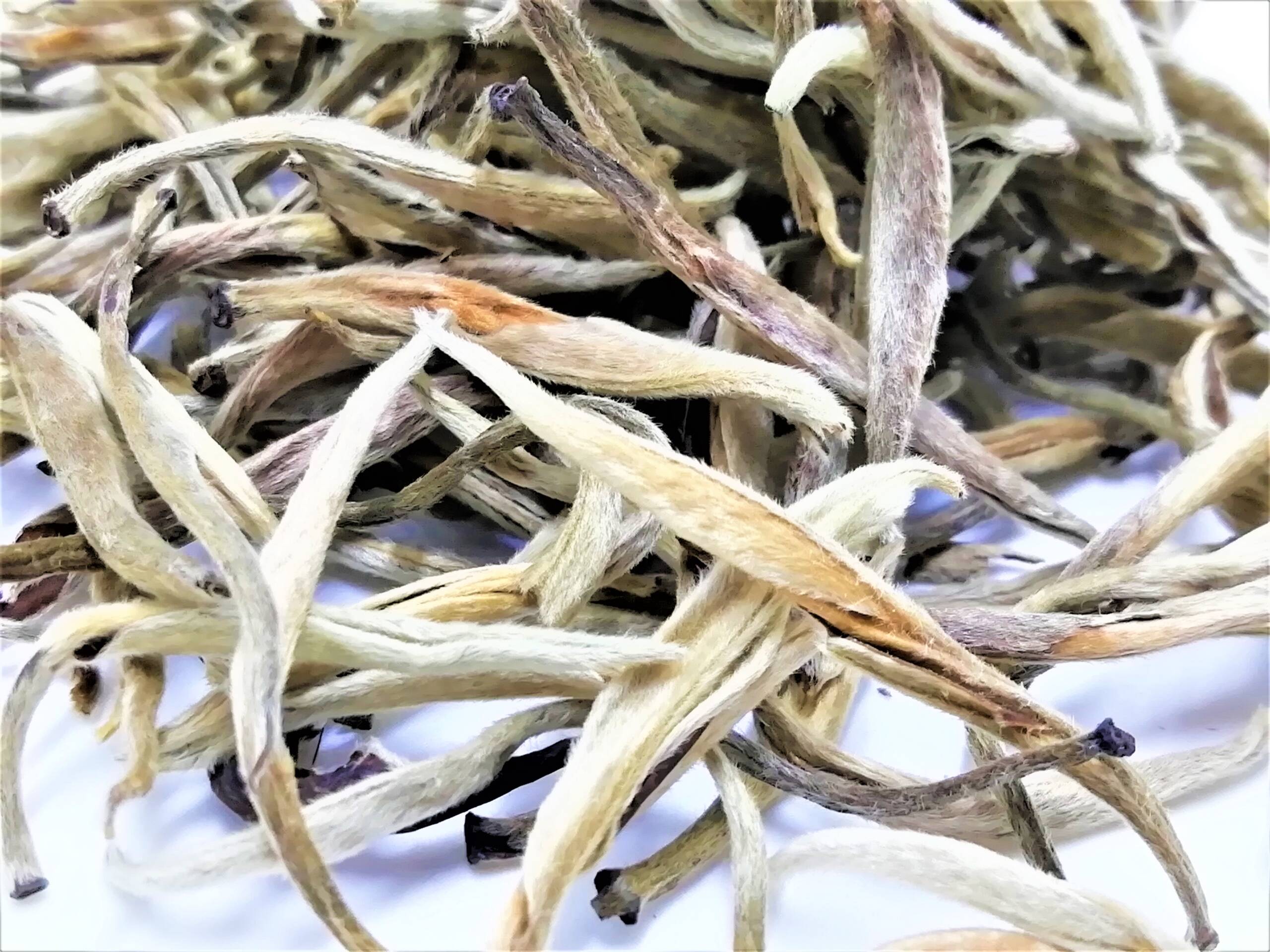 Китайский белый чай Лао Бай Хао Инь Чжень 100г. Білий чай