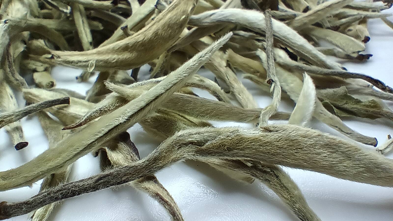 Белый чай Бай Хао Инь Чжень Серебряные иглы 100г Белый чай Бай Хао Инь Чжень Серебряные иглы 100г