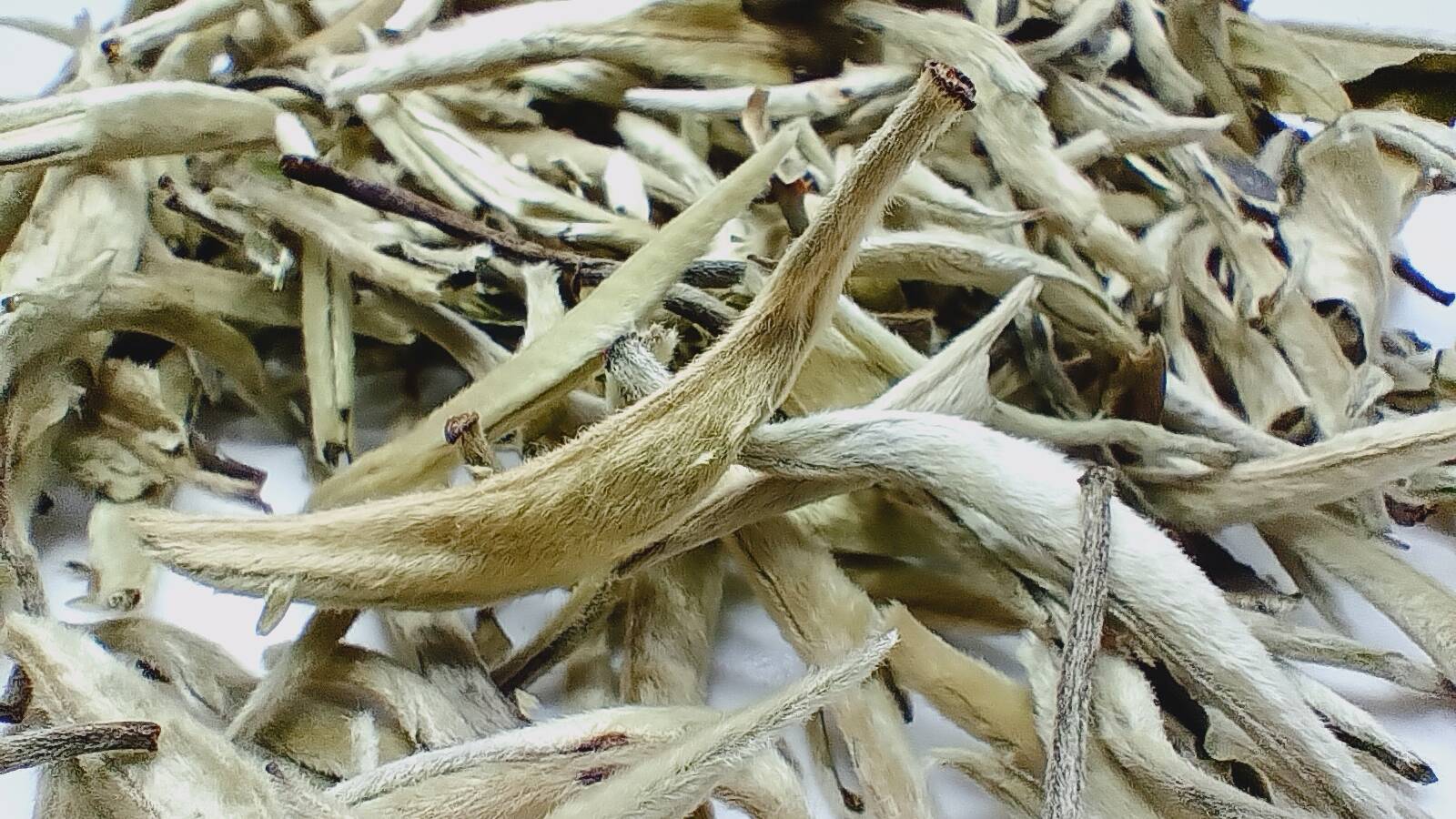 Белый чай Бай Хао Инь Чжень Серебряные иглы 100г Белый чай Бай Хао Инь Чжень Серебряные иглы 100г