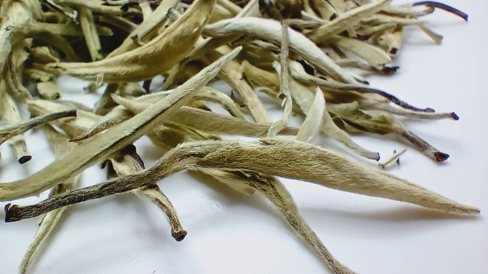 Белый чай Бай Хао Инь Чжень Серебряные иглы 100г Белый чай Бай Хао Инь Чжень Серебряные иглы 100г